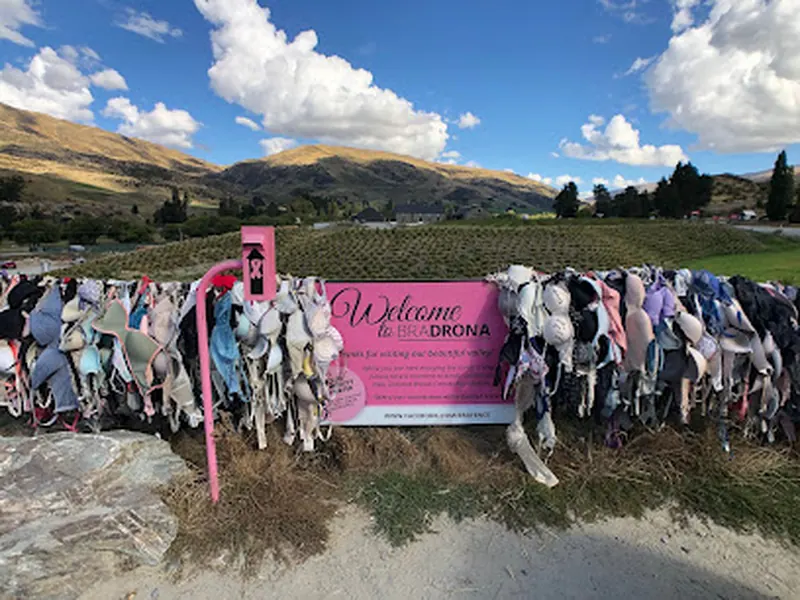 Cardrona Bra Fence