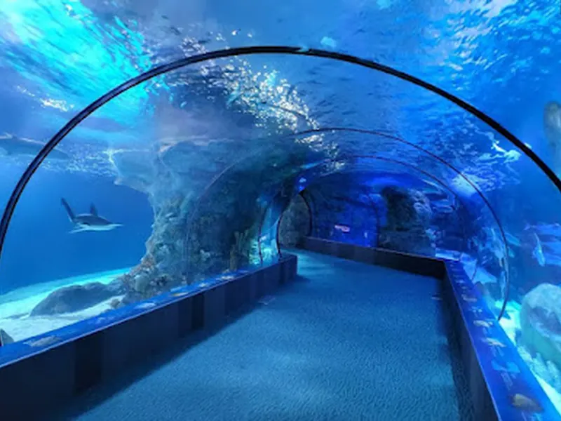 Omaha's Henry Doorly Zoo and Aquarium