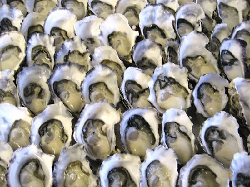 Get Shucked