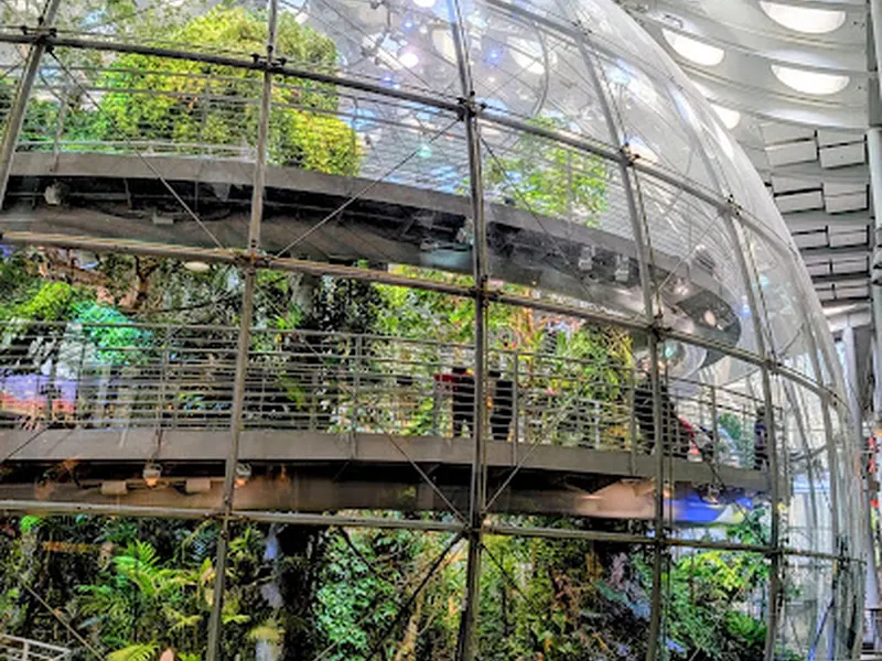 California Academy of Sciences