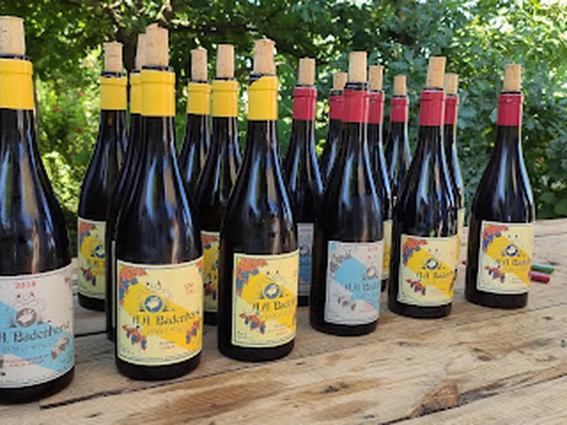 AA Badenhorst Family Wines