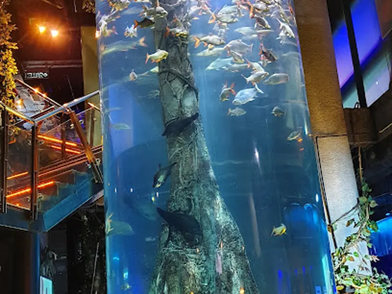 KLCC水族館