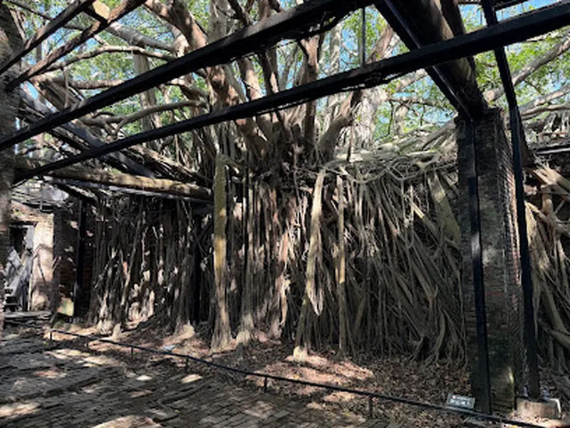 Anping Tree House