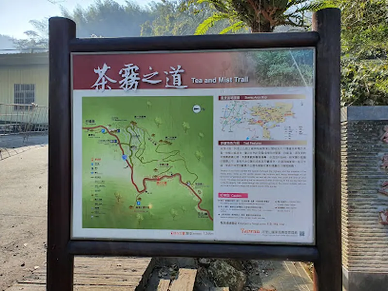 Tea and Mist Trail 茶霧之道