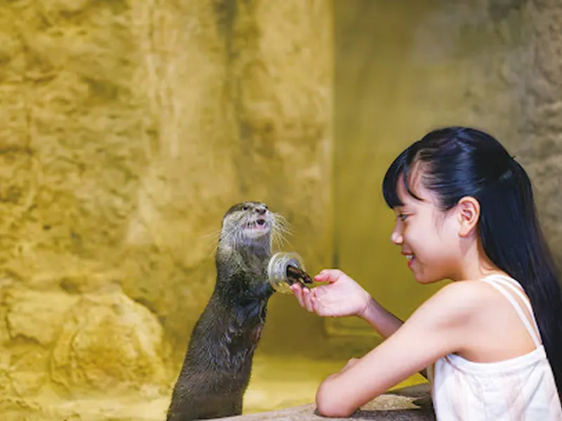 DMMかりゆし水族館
