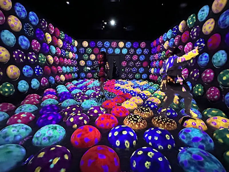 teamLab Forest Fukuoka