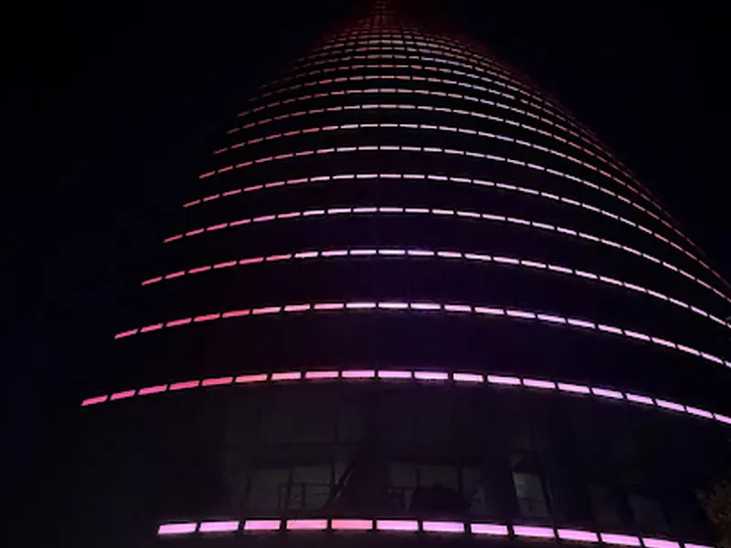 Flame Towers