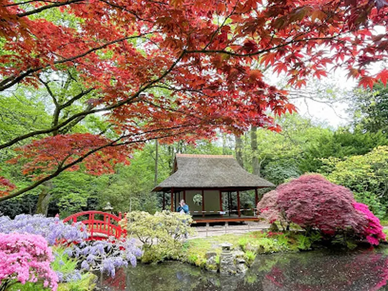 Japanese Garden