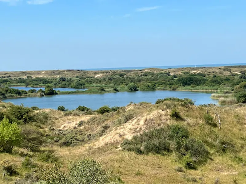 Meijendel