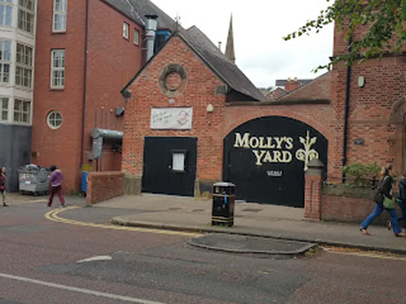 Molly's Yard