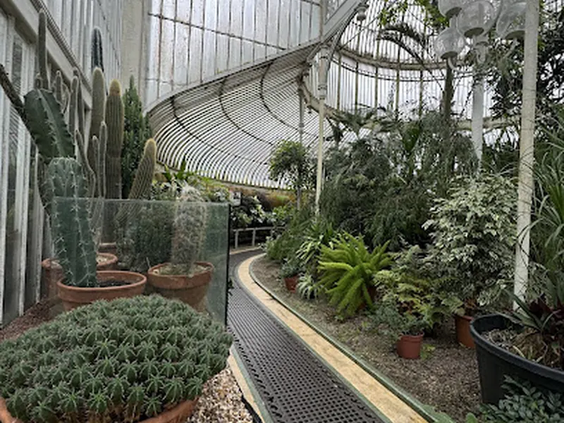 The Palm House