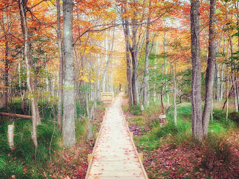 Wild Gardens of Acadia