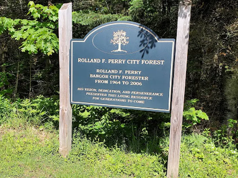 Bangor City Forest