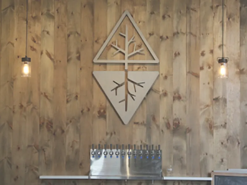 Root Wild Kombucha