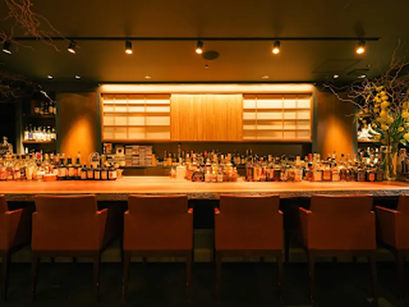 the bar nano. gould.