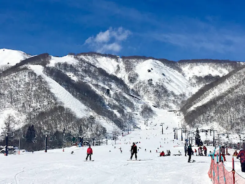 Hakuba Goryu Snow Resort