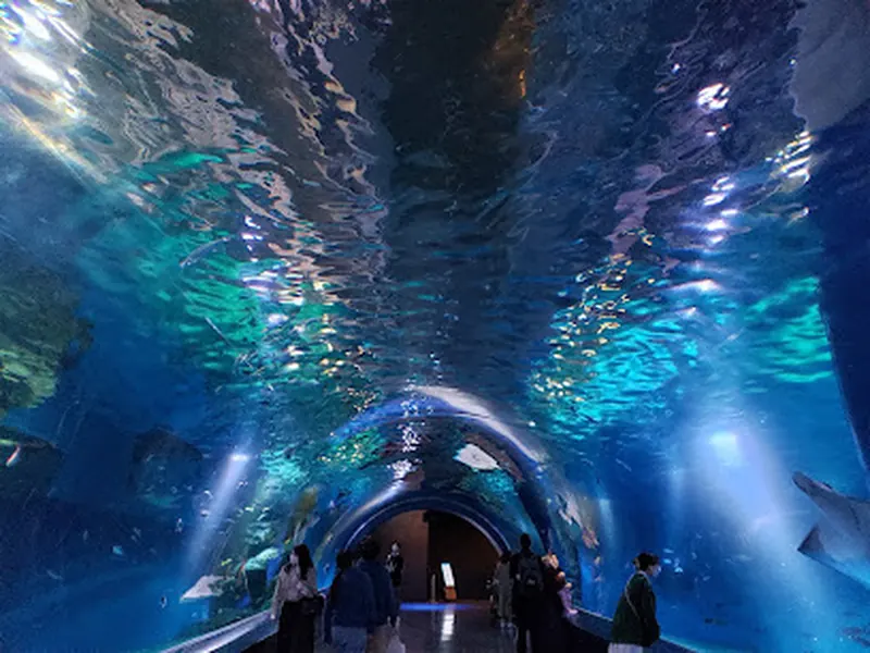 Maxell Aqua Park Shinagawa