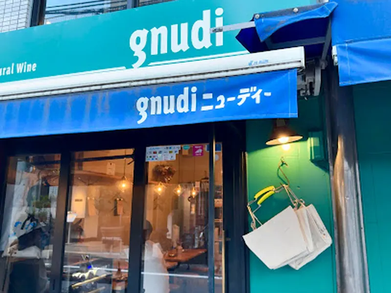 gnudi