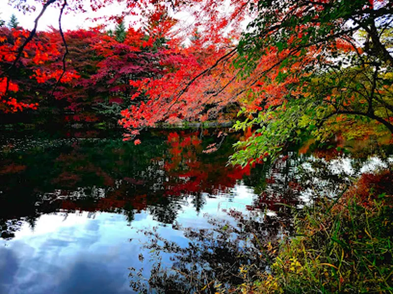 Kumoba Pond