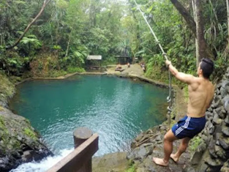 Colo-I-Suva Forest Park