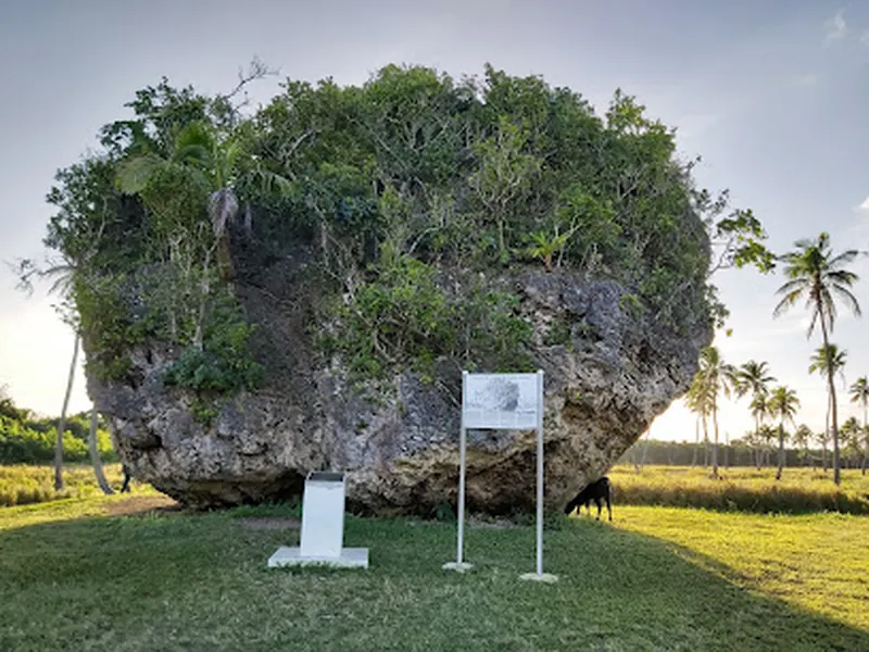 Tsunami Rock