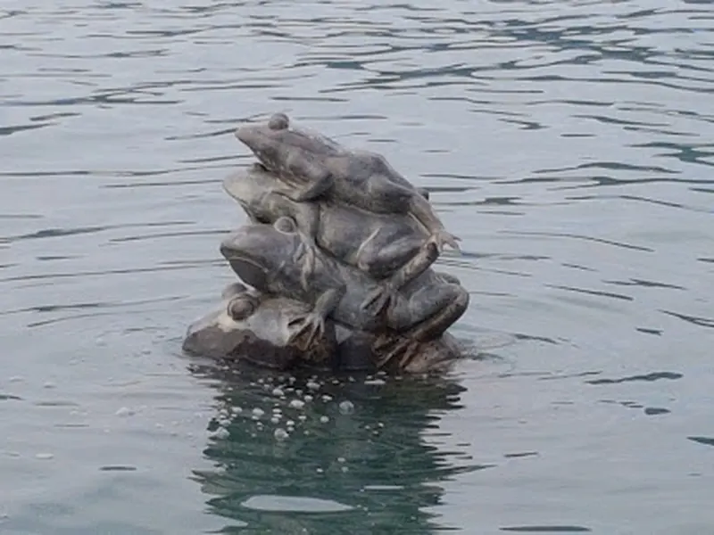 Nine Frogs Stack