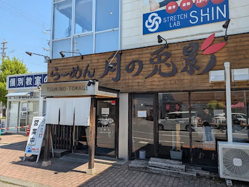 月の兎影
