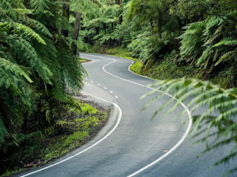 Black Spur Drive