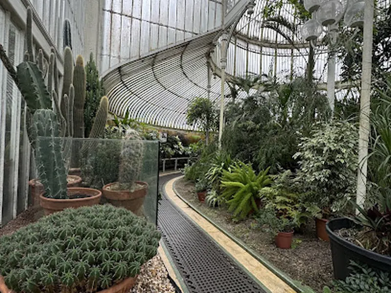 The Palm House
