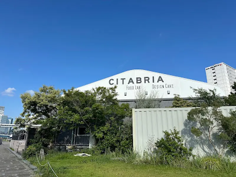 Citabria Baypark Grill & Bar