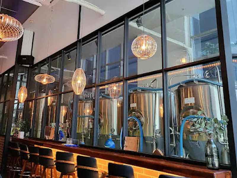 Wildcat Brewing