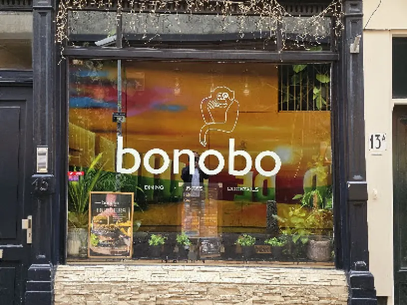 Bonobo