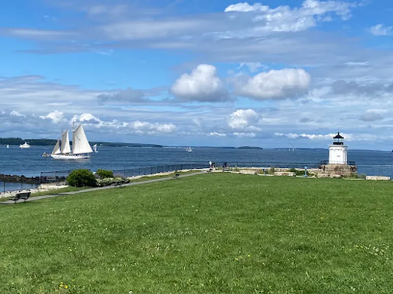Bug Light
