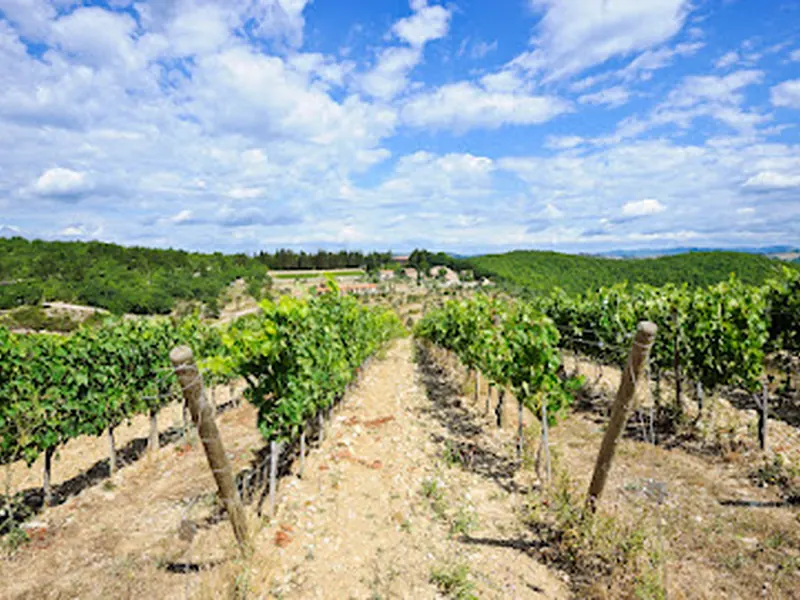 Querceto di Castellina